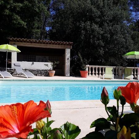 Le Mas Des Hibiscus Trans-en-Provence Exterior foto